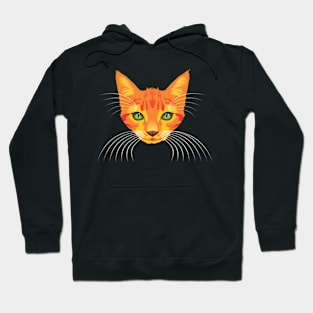 orange cat Hoodie